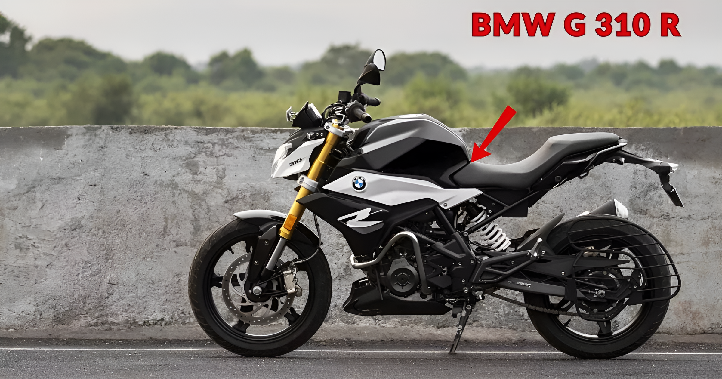 BMW G 310 R