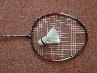 A badminton racket and shuttlecock