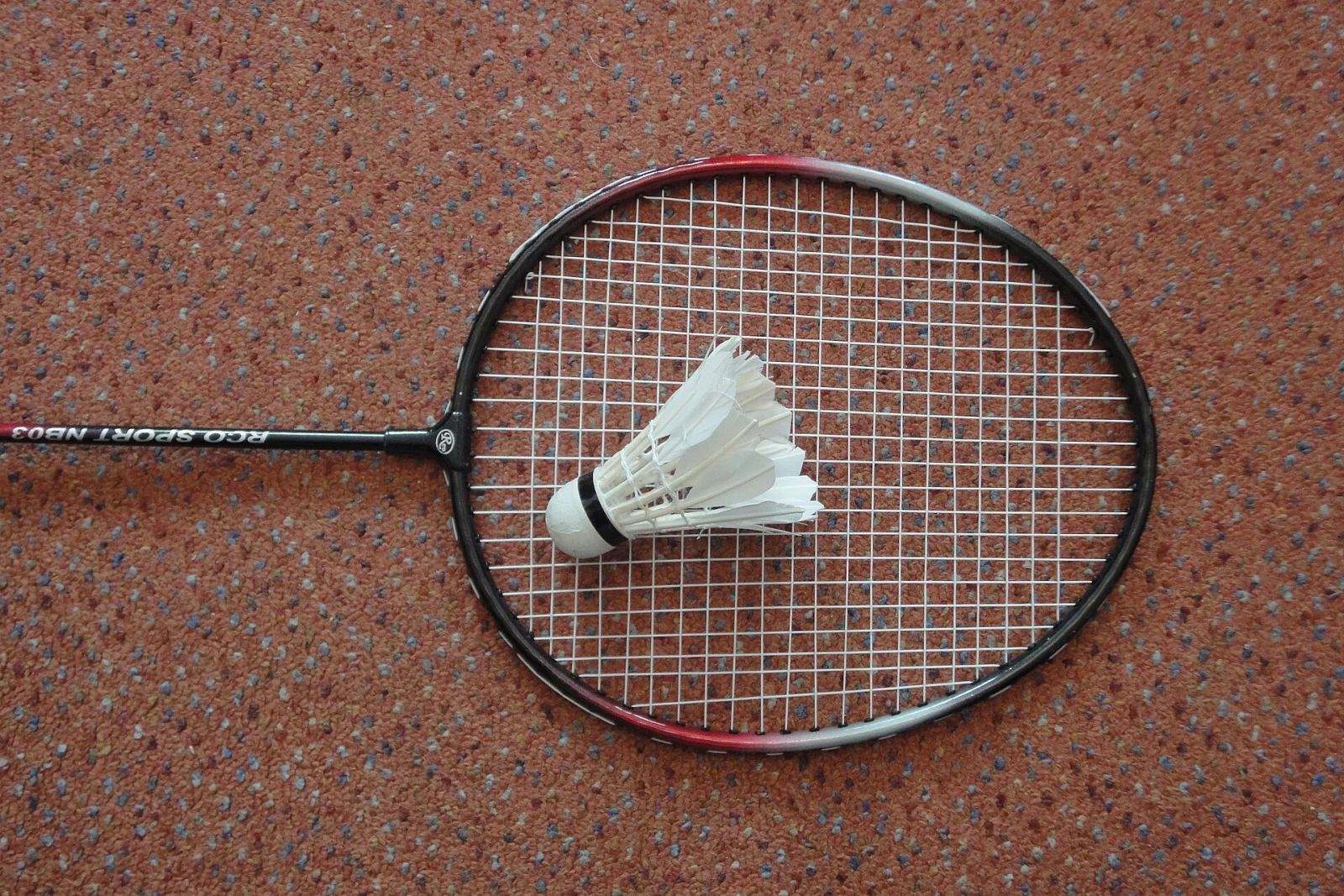 A badminton racket and shuttlecock