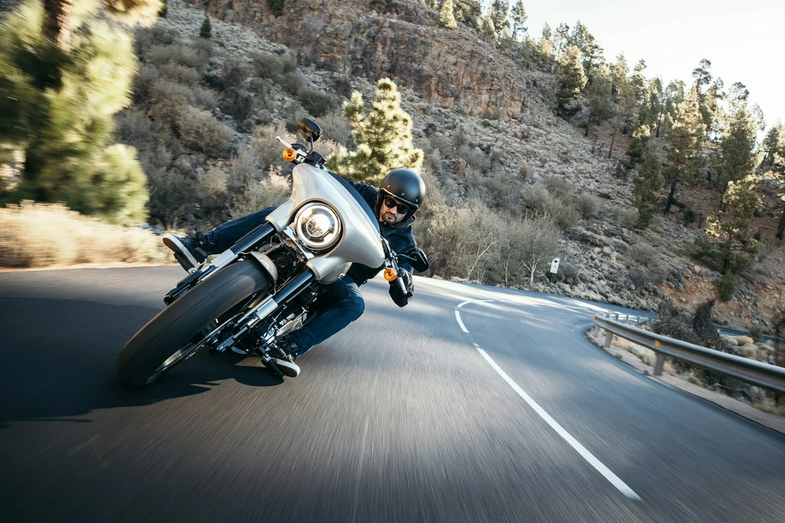 A rider on a Harley-Davidson motorcycle